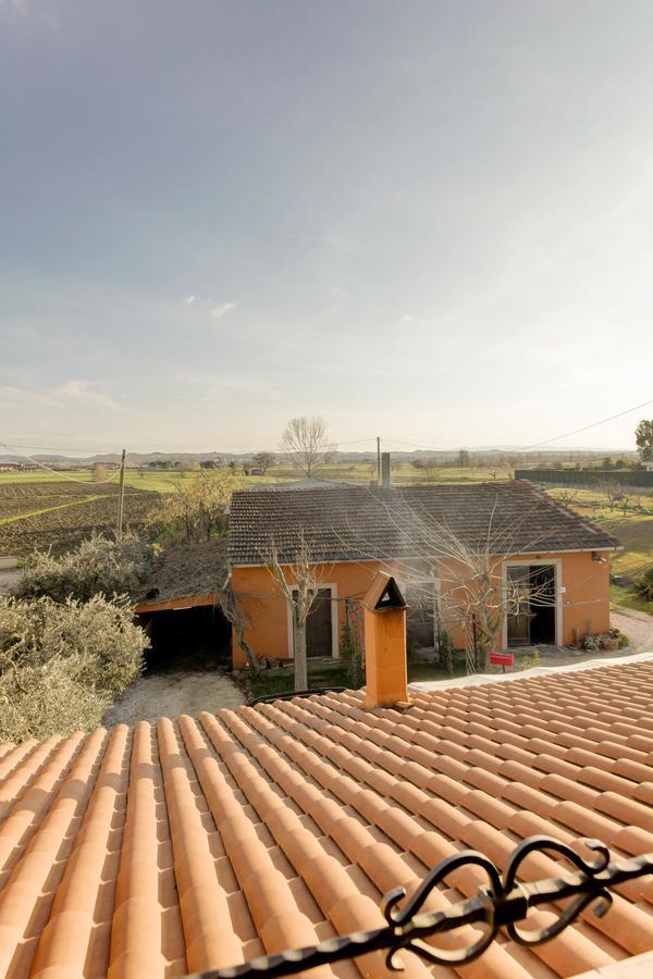 B&B Il Ramaiolo Santa Maria a Monte Esterno foto